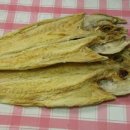 월드동물병원 이미지