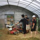 하늘샘농장 이미지