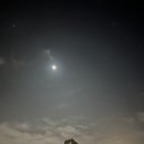 순환형코스 | 한강러닝코스10km 반포 한강대교 동작대교 순환 러닝코스 후기