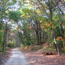 구.교하중 이미지