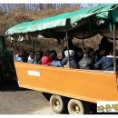 나룻배마을 이미지