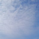 금강 자전거길 이미지