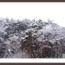 호반애견훈련소 이미지