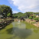 코끼리캠핑장 이미지