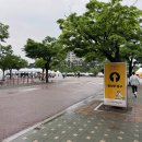 속초종로약국 | [러닝] 2026.5.3.(일) 2026 KB스타런 10km 후기