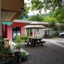 은행식당 이미지