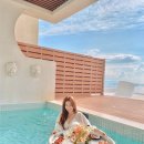 슈가브리움 이미지