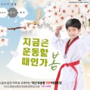 도복의바람소리가울려퍼지는TOP태권도 이미지