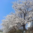 나들이공원 배드민턴장 이미지