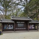 (내돈내산) 충주여행 가족탕 수안보스파호텔 패밀리룸 &amp; 근처 맛집 새나라치킨 이용 후기