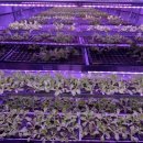 김대중농장 이미지