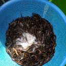 하성리마을회관 이미지