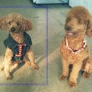 구월3동-7 이미지