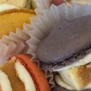 인마망마카롱 네이버블로그