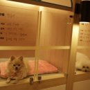 옐레드 시흥은계호수점 이미지