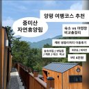 축령산휴양림 야영데크4구역 화장실 | 휴양림 1박 4만원 4인가족 캐빈 당일예약, 이용 후기...숲속의집/연립동/캐빈/데크 위치&amp;가격 비교...