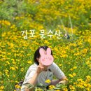 문수산성(남문)화장실 | 서울 근교 김포 문수산 초보 등산 금계국 꽃 산행 코스