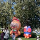 여주-1103 | 가평 자라섬 꽃 페스타 후기