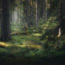 우리헬스클럽 이미지