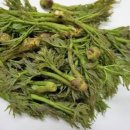 목우농장 이미지