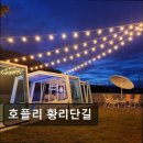 호플리 | 호플리 황리단길 호플리 황리단길, 프라이빗한 힐링 공간