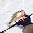 오늘유치원 이미지