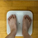 (주) 여름 | 25_6월 마지막주&amp;7월 첫째주⛰️🥾(여름삼성산등산/부스터프로크랙교환후기)