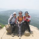 단양-단양-06 이미지