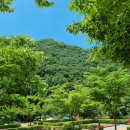 천동명성식당 이미지