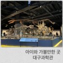국립대구과학관 본관 상설전시관 2월 넷째주 무료개방