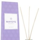 메이시스치과의원 이미지