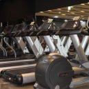 팀바디매스 이미지