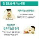 원프로기획 네이버블로그