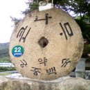 큰나무집 죽 Daum카페