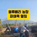 조아농원 이미지