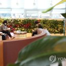 완주군립 콩쥐팥쥐도서관 이미지