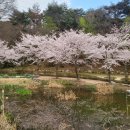 화동못 수변공원 이미지