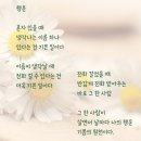 행운청소 이미지