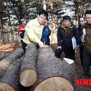 동해-단속-23 이미지