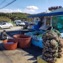 바담채 민박 이미지