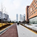 연세대학교 국제캠퍼스
