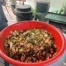 고분도리 총각네 이미지