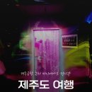 제주공항 근처 비오는날 가볼만한 실내 미디어아트 내돈내산 전시관 추천 '노형수퍼마켙'