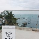 남나리전복;엠아이알오