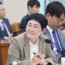 법마을