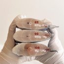 MARIN카 | 블라블라 - 파리 겨울 일상 / 고메제주 9,10호는 품절되었습니다! 8호가 남았어요 서둘러주세요