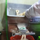 신원양지마을 이미지