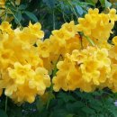 더온모텔 이미지