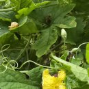 대박기원농장 이미지