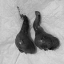 아마존동물병원 이미지